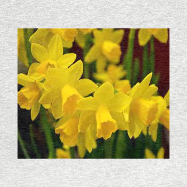 Daffodils relate to Easter and spring by Designs and Dreams